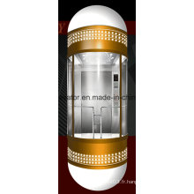 Type de capsule Panoramique Ascenseur avec mur de cabine en verre